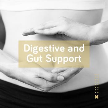 Digestive & Gut Support - Pro-Ven Probiotics